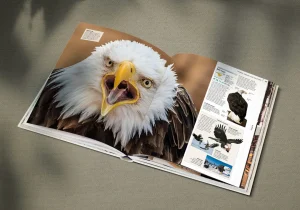 Alternative view of دایرةالمعارف مصوّر و اورجینال حیوانات