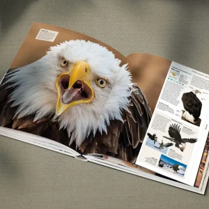 Alternative view of دایرةالمعارف مصوّر و اورجینال حیوانات