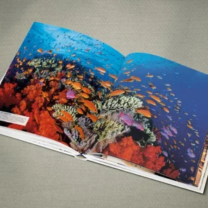 Alternative view of دایرةالمعارف مصوّر و اورجینال اقیانوس