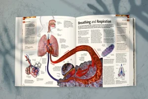 Alternative view of کتاب اتل متل این گلمه عشق منه،خوشگلمه | انتشارات قدیانی