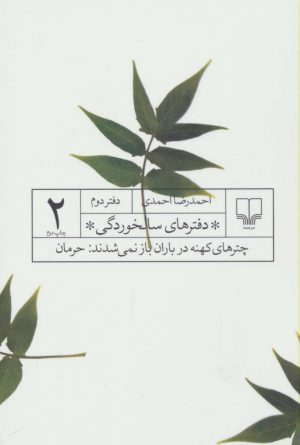 کتاب دفترهای سالخوردگی 2 | انتشارات نشر چشمه