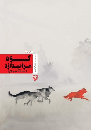 کتاب کوه مرا صدا زد | انتشارات سوره مهر