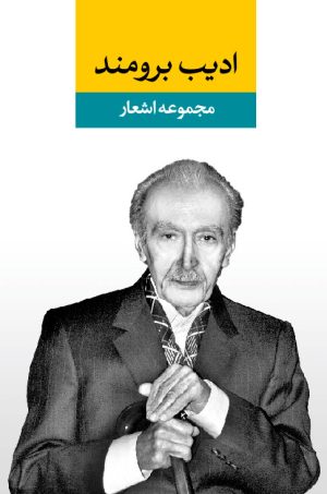 کتاب مجموعه اشعار ادیب برومند | انتشارات نگاه