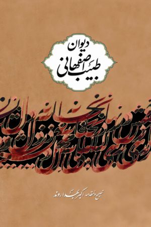 کتاب دیوان طبیب اصفهانی | انتشارات نگاه