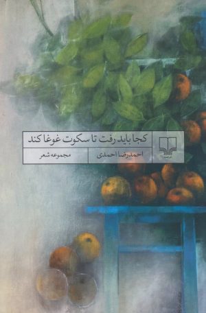 کتاب کجا باید رفت تا سکوت غوغا کند | انتشارات نشر چشمه