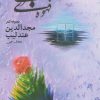 کتاب قهوه قجری | انتشارات ایجاز