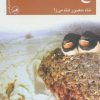 کتاب باغ شفتالو | انتشارات نشر ثالث