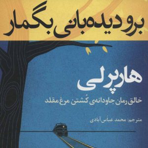 کتاب برو دیده بانی بگمار | انتشارات افراز