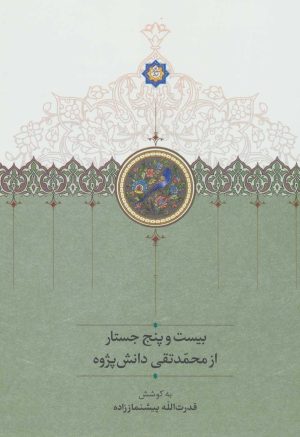 کتاب بیست و پنج جستار از محمدتقی دانش پژوه | انتشارات سخن