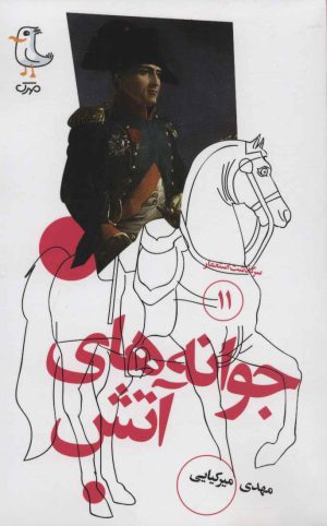 کتاب جوانه های آتش | انتشارات سوره مهر