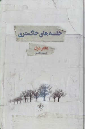 کتاب خلسه های خاکستری | انتشارات فصل پنجم