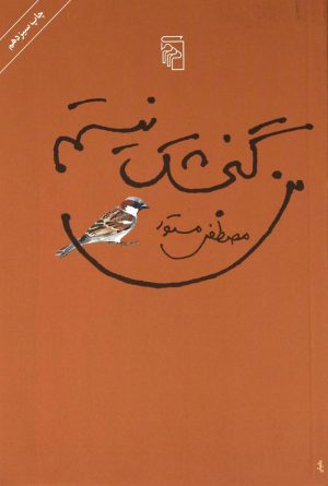 کتاب من گنجشک نیستم | انتشارات مرکز