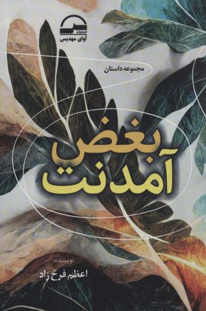 کتاب بغض آمدنت | انتشارات آوای مهدیس