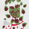 کتاب حسن یوسف | انتشارات شهید کاظمی