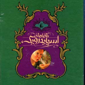 کتاب مجموعه ماجراهای اسپایدرویک | انتشارات افق