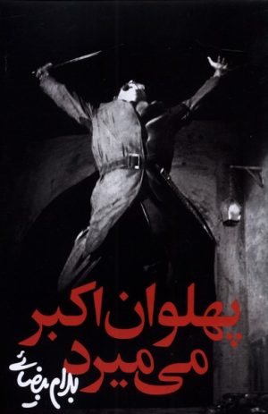 کتاب پهلوان اکبر می میرد | انتشارات روشنگران و مطالعات زنان