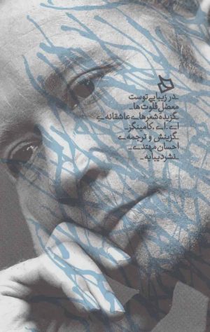 کتاب در زیبایی توست معضل فلوت ها | انتشارات دیبایه
