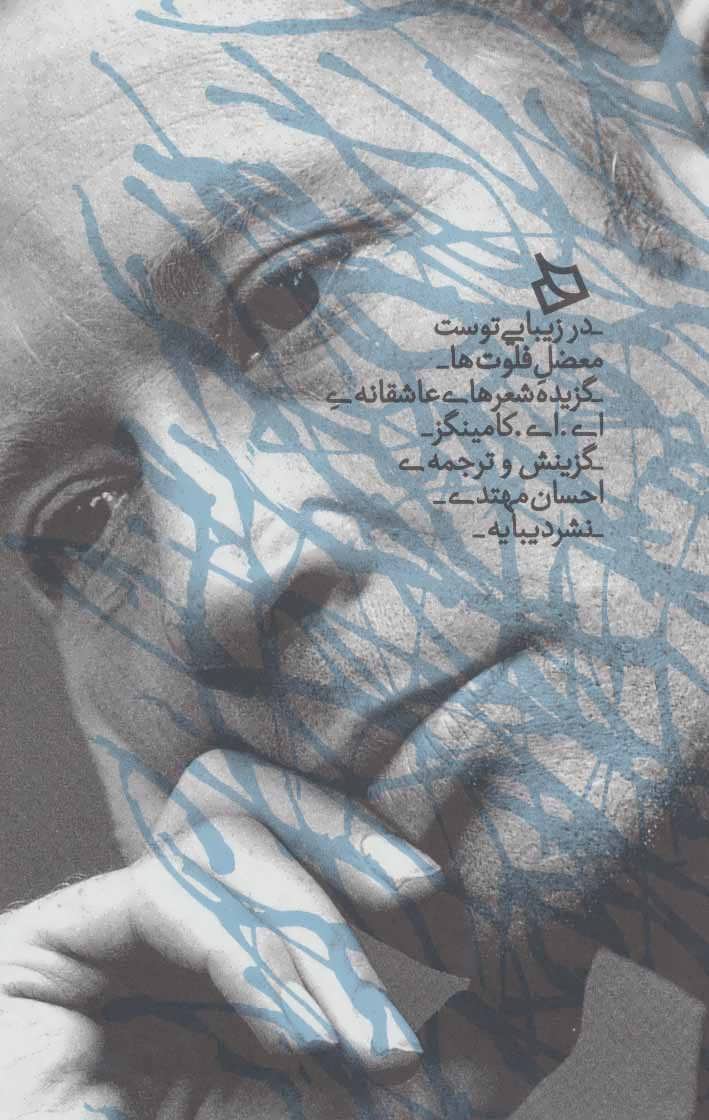 کتاب در زیبایی توست معضل فلوت ها | انتشارات دیبایه