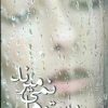 کتاب پرستوها نمی میرند | انتشارات آوای مهدیس