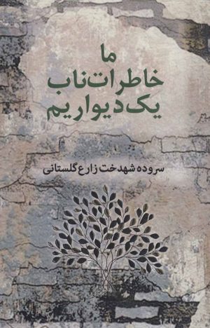 کتاب ما خاطرات ناب یک دیواریم | انتشارات آریابان