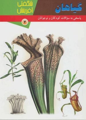 کتاب گیاهان | انتشارات کانون پرورش فکری کودکان و نوجوانان