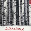 کتاب بی چشمداشت | انتشارات شهرستان ادب
