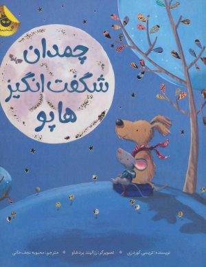 کتاب چمدان شگفت انگیز هاپو | انتشارات زعفران