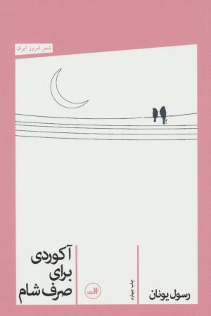 کتاب آکوردی برای صرف شام | انتشارات نشر ثالث
