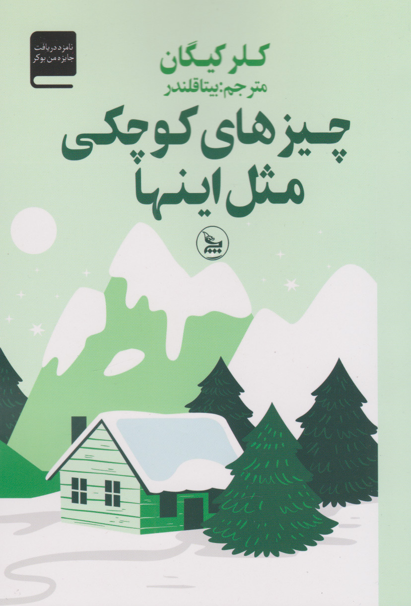 کتاب چیزهای کوچکی مثل این ها | انتشارات نشر چلچله