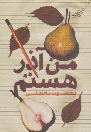 کتاب من آذر هستم | انتشارات کتاب کوله پشتی