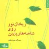 کتاب ریختن نور روی شاخه های پایین | انتشارات شهرستان ادب
