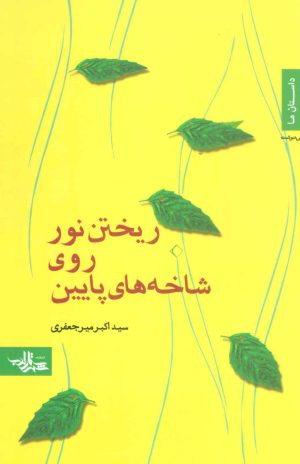 کتاب ریختن نور روی شاخه های پایین | انتشارات شهرستان ادب