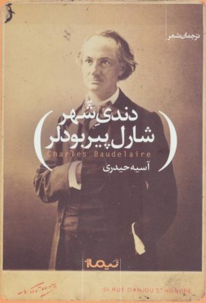 کتاب دندی شهر | انتشارات نیماژ