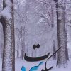 کتاب سکوت سرد | انتشارات شهرآب