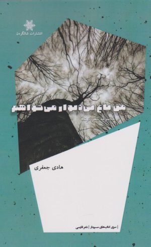 کتاب من باغ بی دیوار می خواهم | انتشارات شالگردن