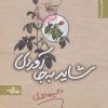 کتاب شاید به جا آوردی | انتشارات شهرستان ادب