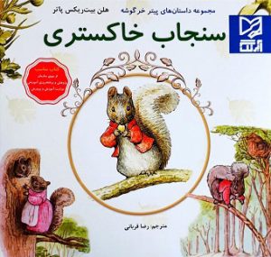 کتاب سنجاب خاکستری | انتشارات آبرنگ