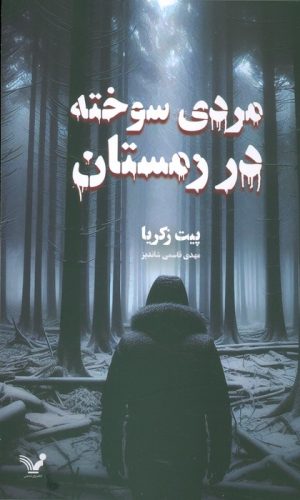 کتاب مردی سوخته در زمستان | انتشارات کتابسرای تندیس