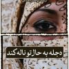 کتاب دجله به حال تو ناله کند | انتشارات نشر ثالث