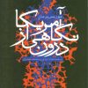 کتاب آمریکا، نگاهی از درون | انتشارات سروش