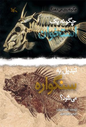 کتاب چگونه یک استخوان تبدیل به سنگواره می شود؟ | انتشارات کانون پرورش فکری کودکان و نوجوانان