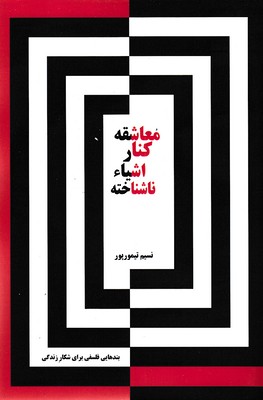 کتاب معاشقه کنار اشیاء ناشناخته | انتشارات ادیبان روز