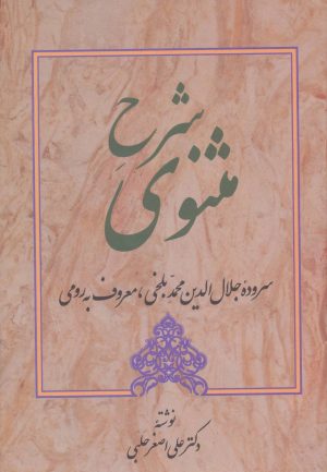 کتاب شرح مثنوی - دفتر پنجم | انتشارات زوار