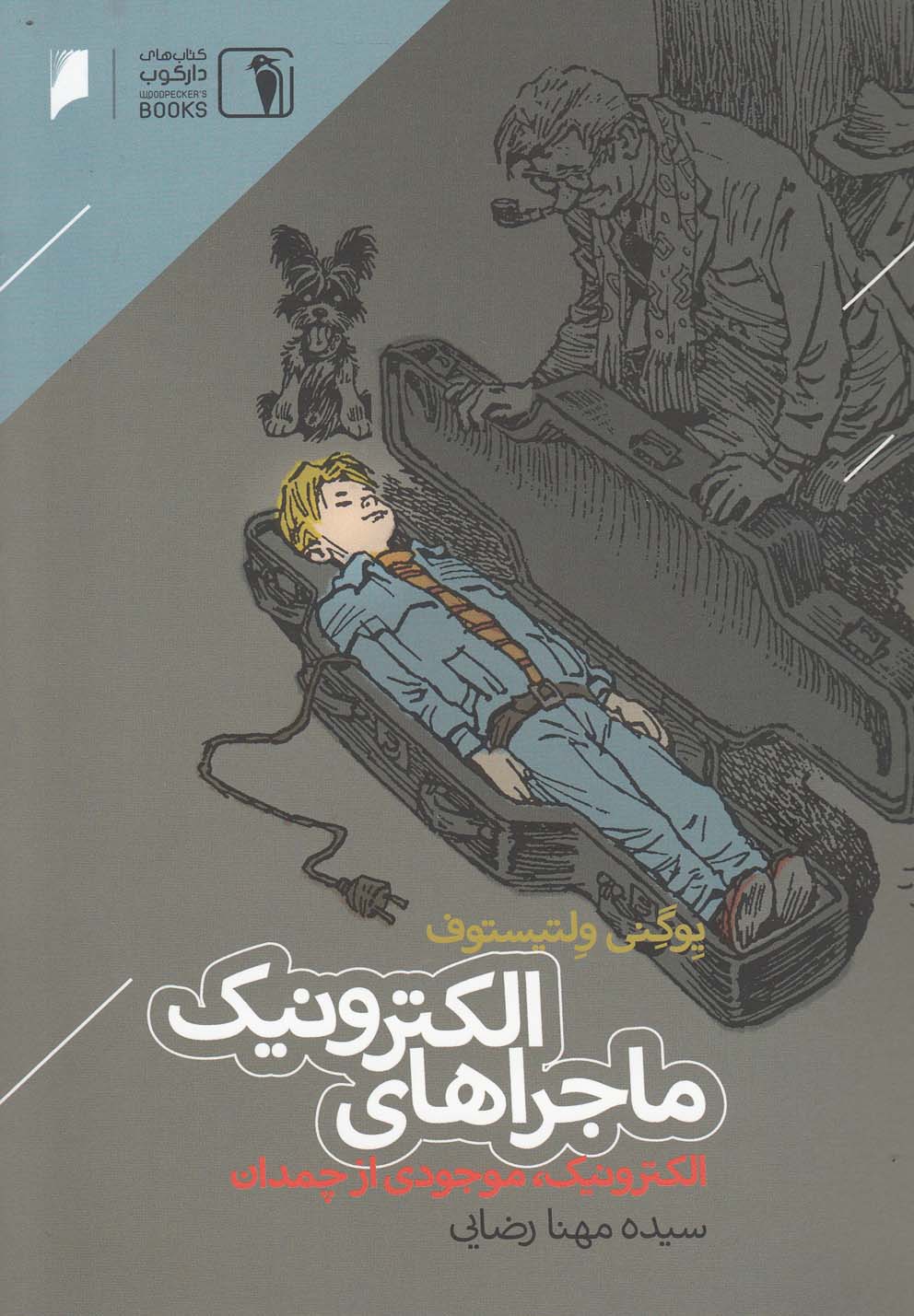 کتاب ماجراهای الکترونیک | انتشارات دنیای اقتصاد