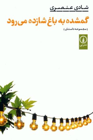 کتاب گمشده به باغ شازده می رود | انتشارات نشر نی