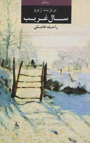 کتاب سال غریب | انتشارات دیبایه