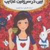 کتاب ایبی در سرزمین عجایب | انتشارات پرتقال