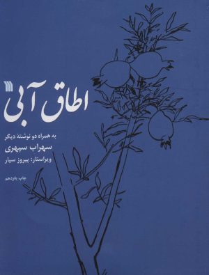 کتاب اطاق آبی | انتشارات سروش