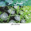 کتاب شش اثر | انتشارات نشر نی
