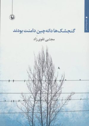 کتاب گنجشک ها دانه چین دامنت بودند | انتشارات مروارید